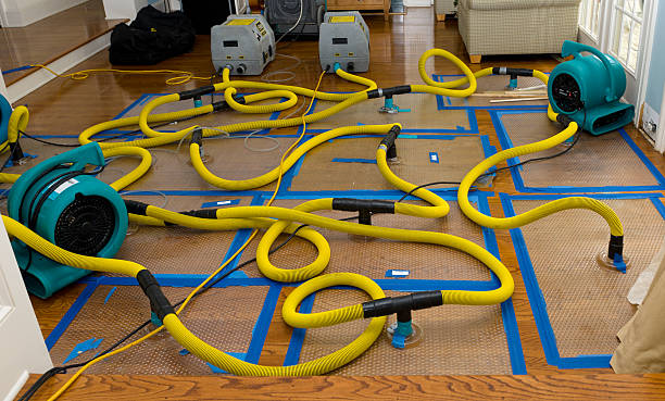 Professional Crawl Space Water Removal technician working in Andrews, TX